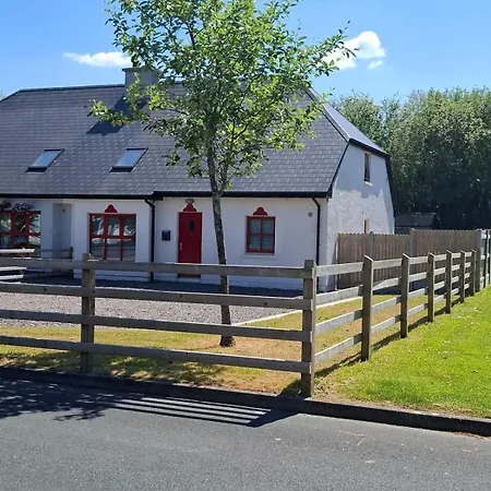 Crurtin Kitty's * كيلارني